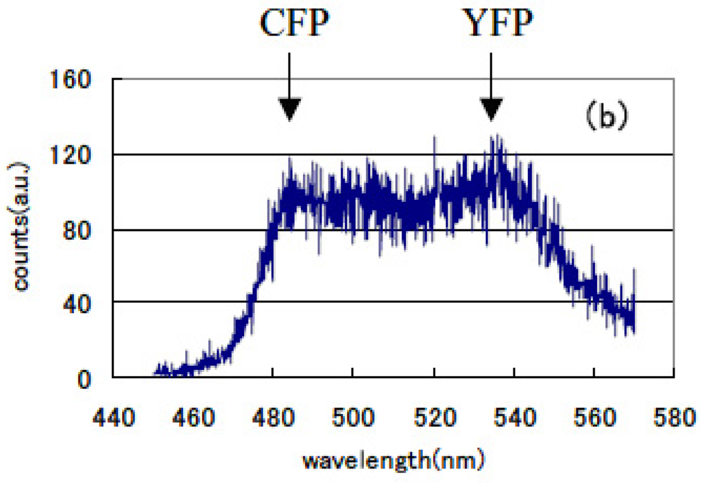 Pharmaceuticals 04 00524f13b 1024