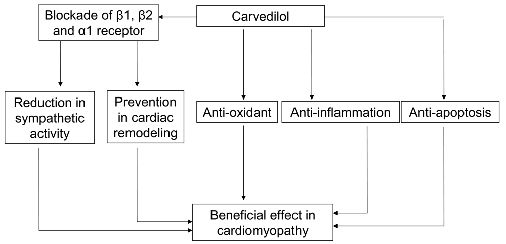Pharmaceuticals 04 00770f1 1024