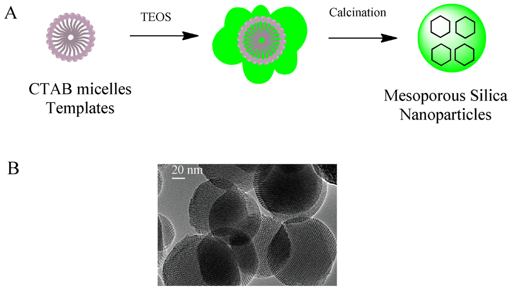 download nuclear fission and neutron-induced fission cross-sections.