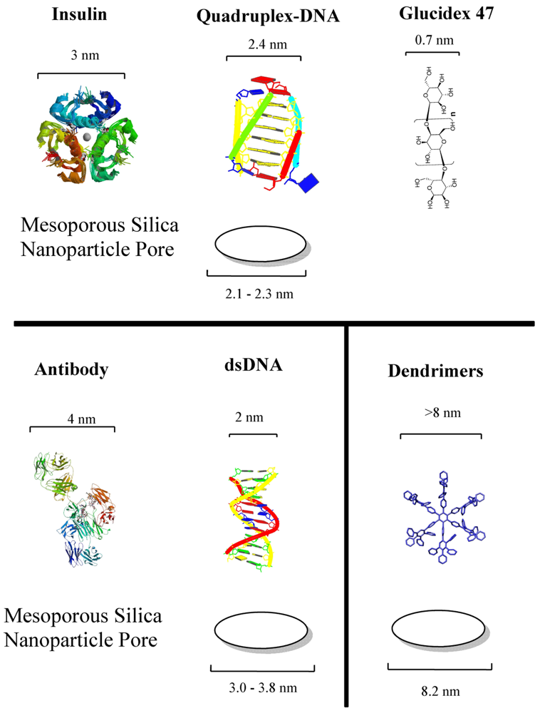 Pharmaceuticals 04 01137f2 1024