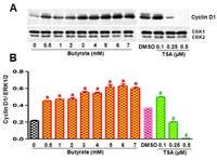 Pharmaceuticals 05 00925 g003 200