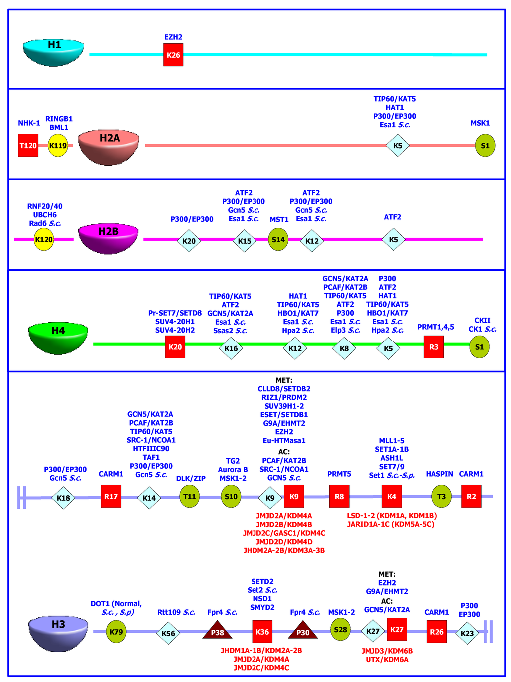 Pharmaceuticals 05 00963 g001 1024