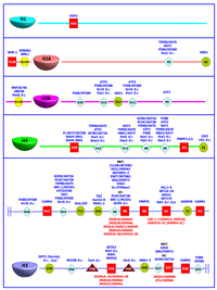 Pharmaceuticals 05 00963 g001 200