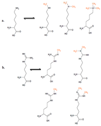 Pharmaceuticals 05 00963 g002 200