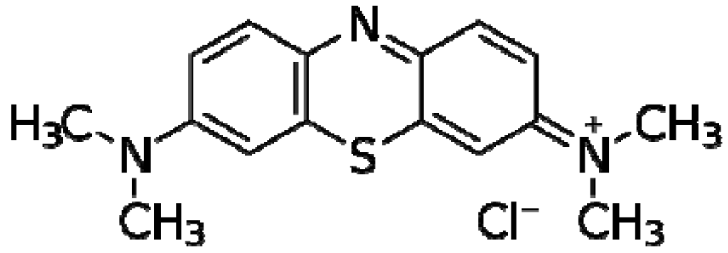 Pharmaceuticals 05 01021 g001 1024