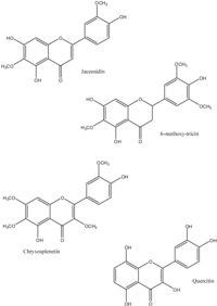 Pharmaceuticals 05 01045 g002 200