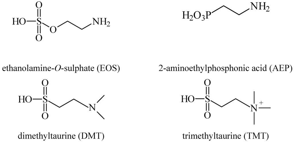 Pharmaceuticals 05 01128 g004 1024