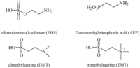 Pharmaceuticals 05 01128 g004 200