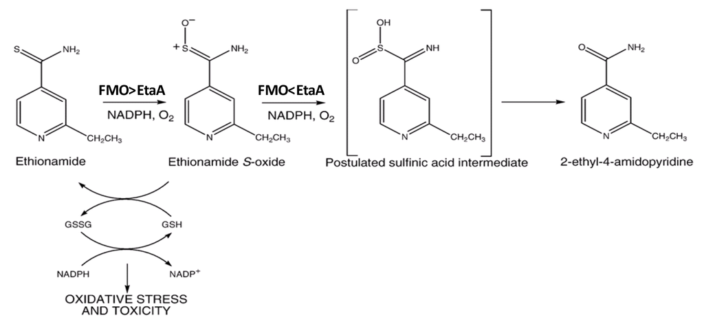 Pharmaceuticals 05 01147 g004 1024