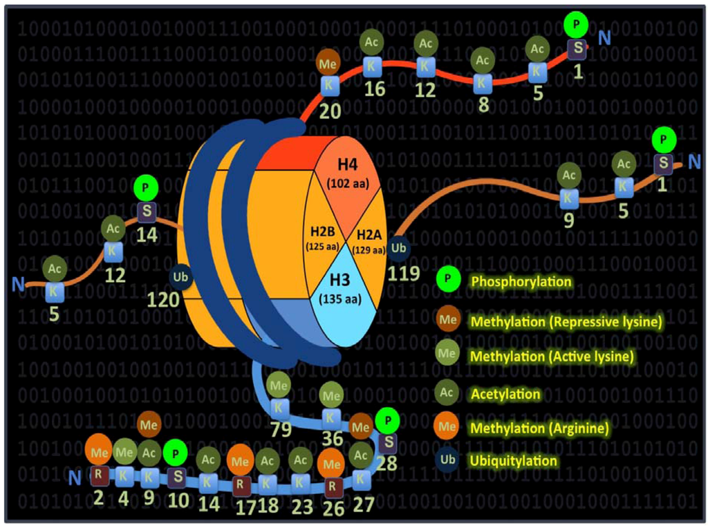Pharmaceuticals 06 00001 g002 1024