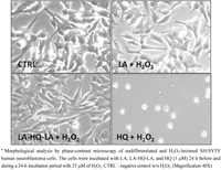 Pharmaceuticals 06 00054 g004 200
