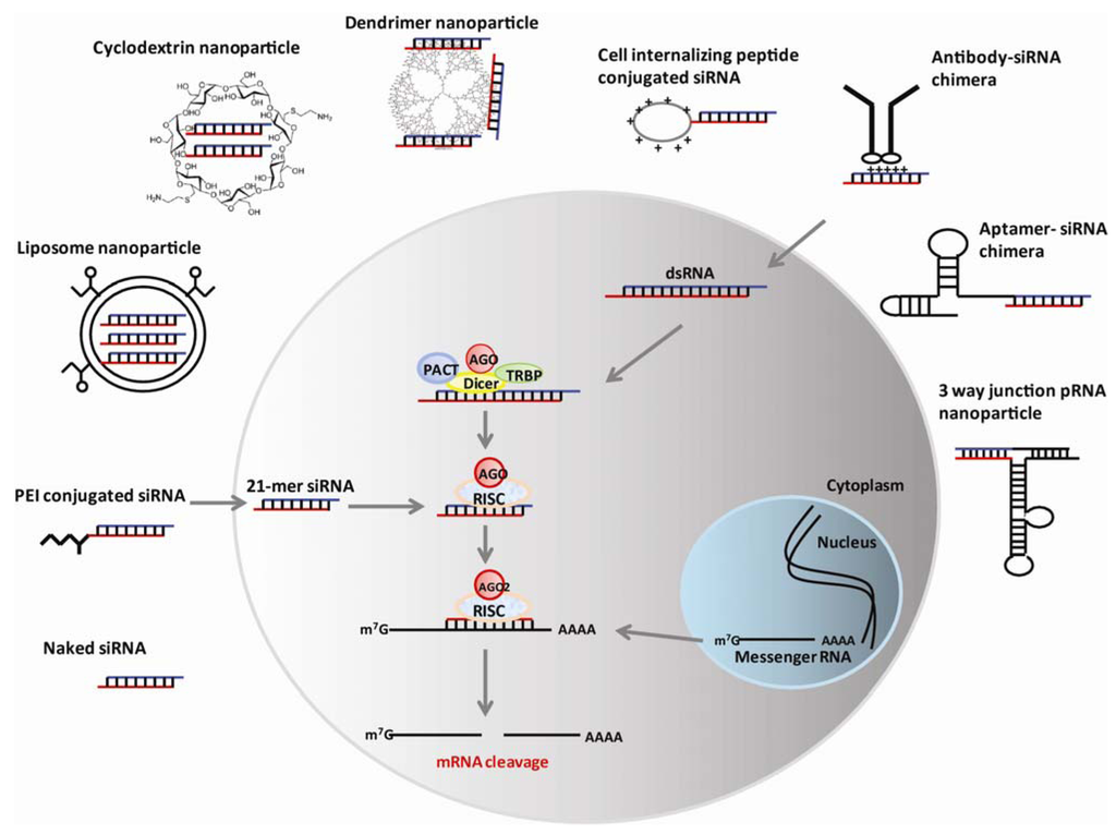 Therapeutic RNAi