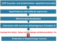 Pharmaceuticals 06 00108 g003 200