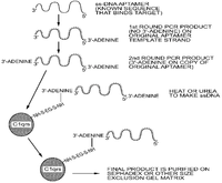 Pharmaceuticals 06 00340 g001 200