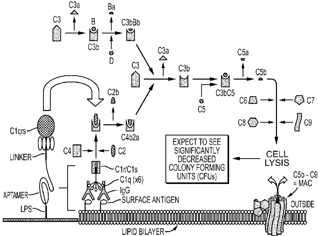 Pharmaceuticals 06 00340 g002 1024