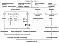 Pharmaceuticals 06 00407 g003 200