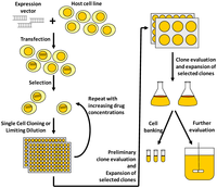 Pharmaceuticals 06 00579 g001 200