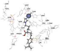 Pharmaceuticals 06 00700 g010 200