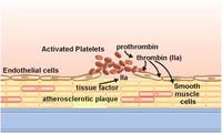 Pharmaceuticals 06 00915 g001 200