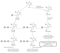 Pharmaceuticals 06 00988 g006 200