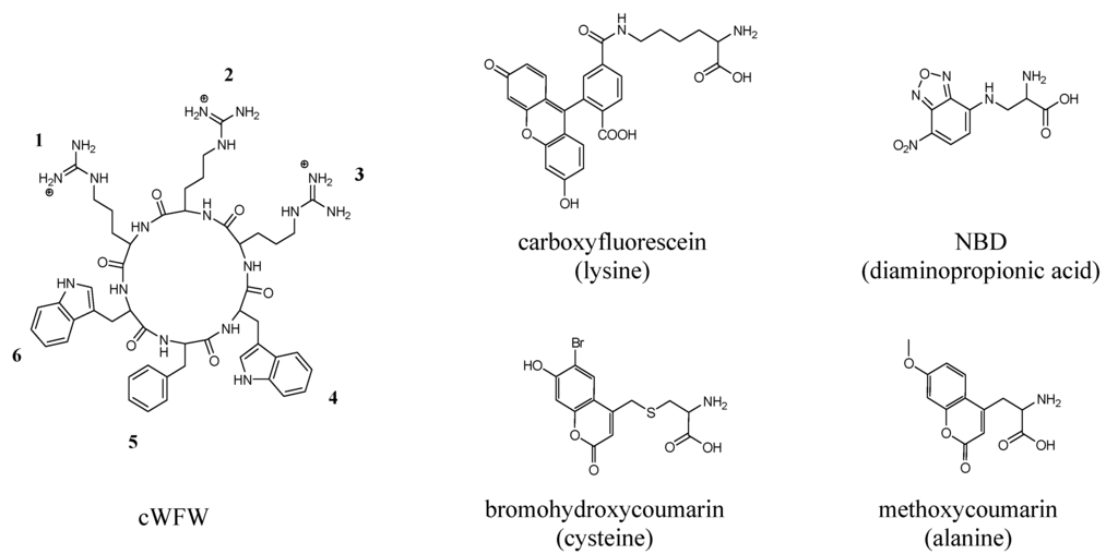 Pharmaceuticals 06 01130 g001 1024
