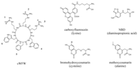 Pharmaceuticals 06 01130 g001 200
