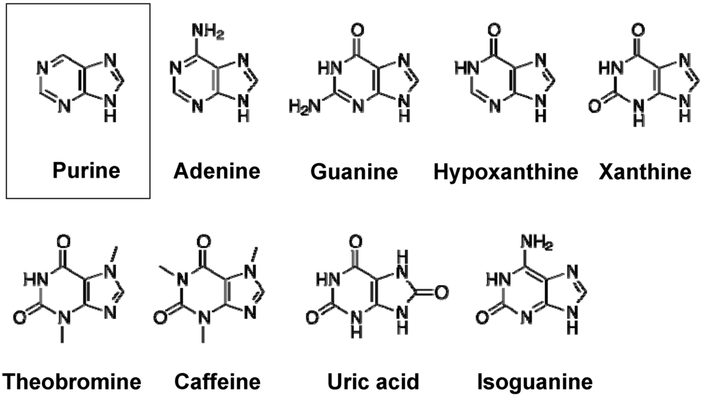 Pharmaceuticals 06 01347 g001 1024