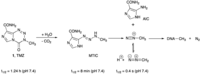 Pharmaceuticals 06 01475 g002 200