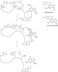 Pharmaceuticals 06 01475 g005 200
