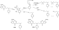 Pharmaceuticals 06 01475 g006 200