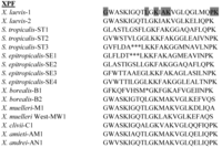 Pharmaceuticals 07 00058 g004 200