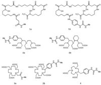 Pharmaceuticals 07 00311 g001 200