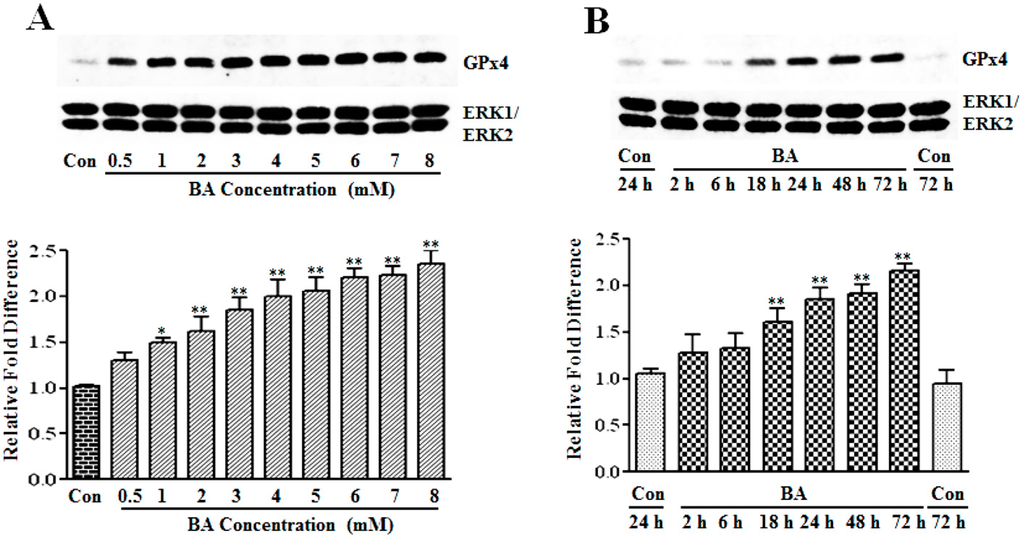 Hdac Inhibitors Natural Products Hdac Inhibitors Natural Products