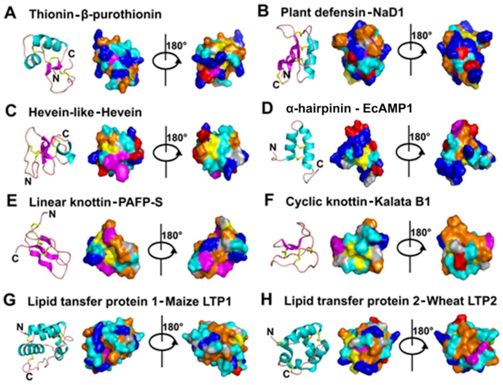 Antimikrobielle peptide dissertation