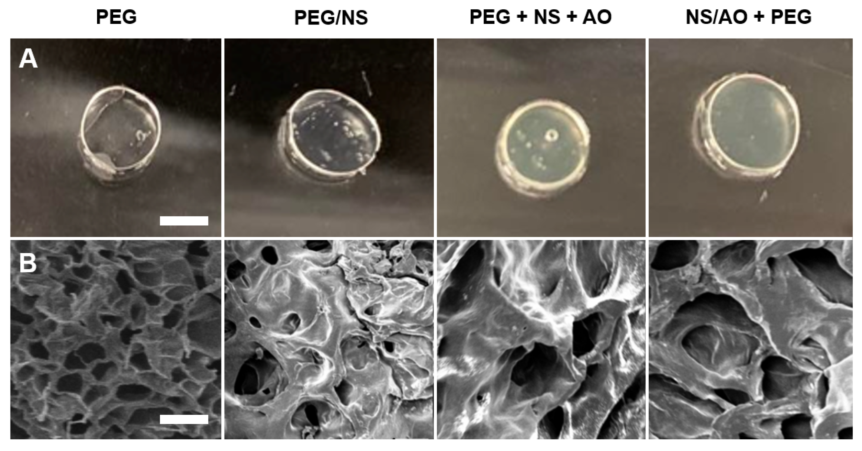 Pharmaceuticals 15 00056 g005