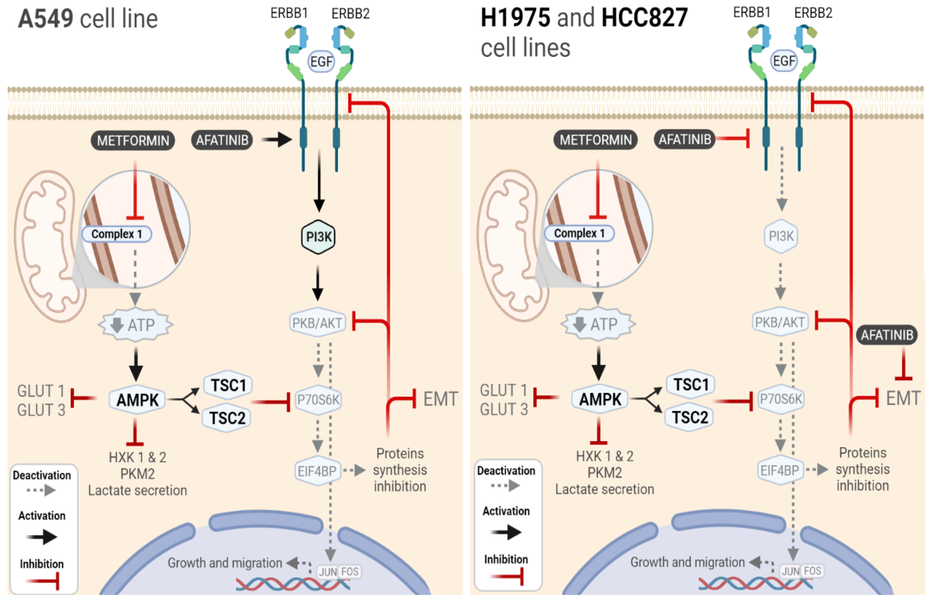 Pharmaceuticals 15 00381 g008