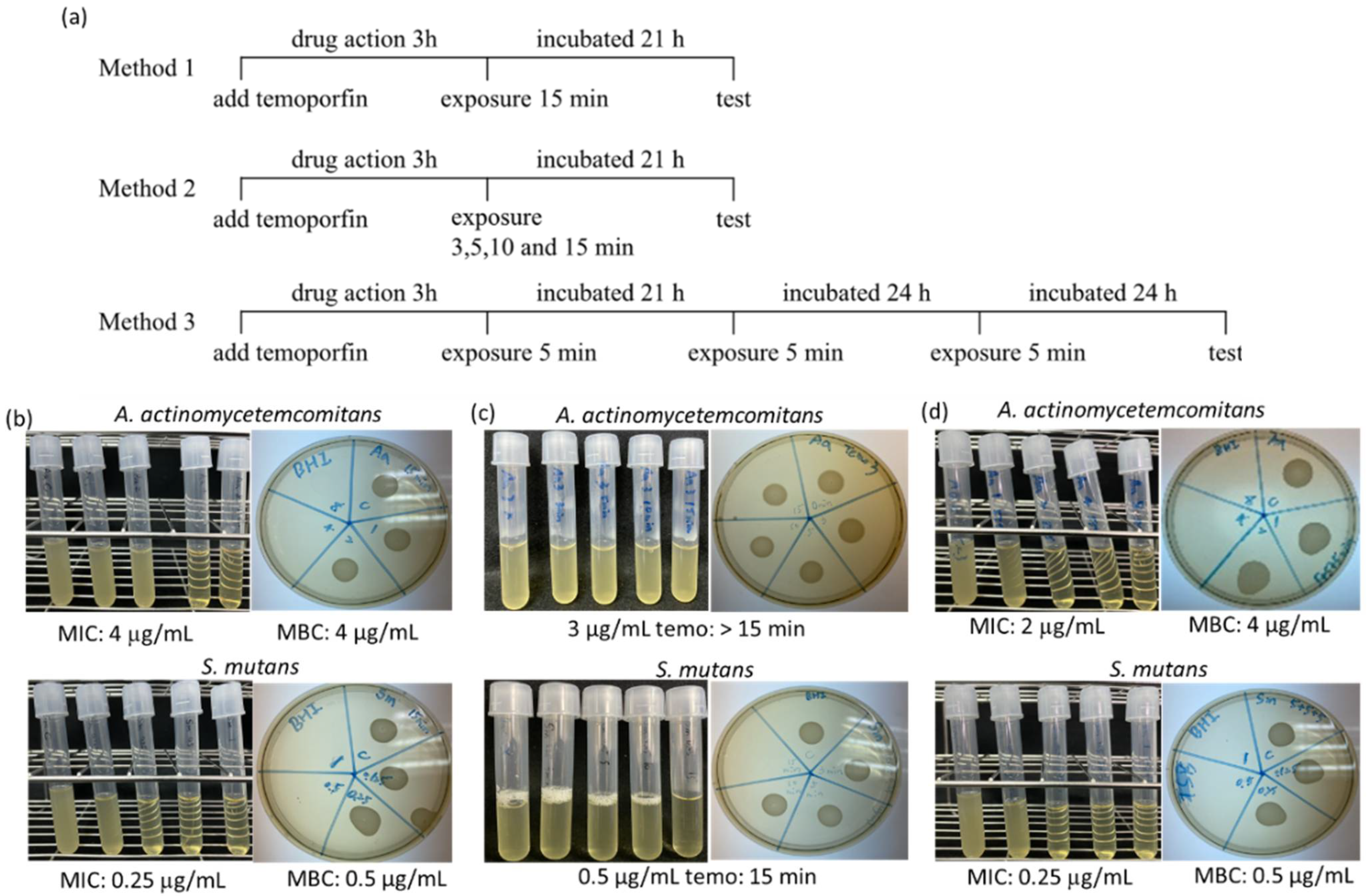 Pharmaceuticals 15 00488 g001