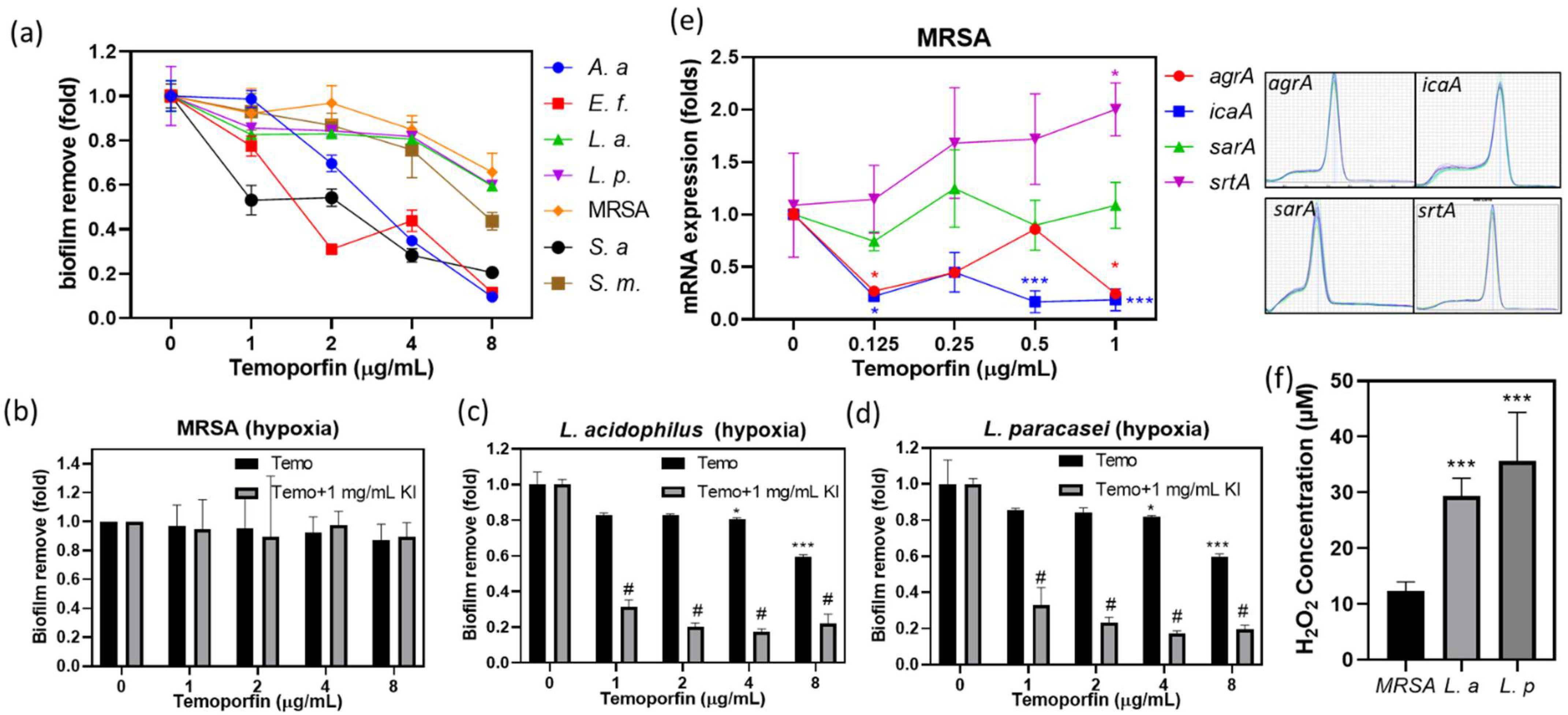 Pharmaceuticals 15 00488 g005