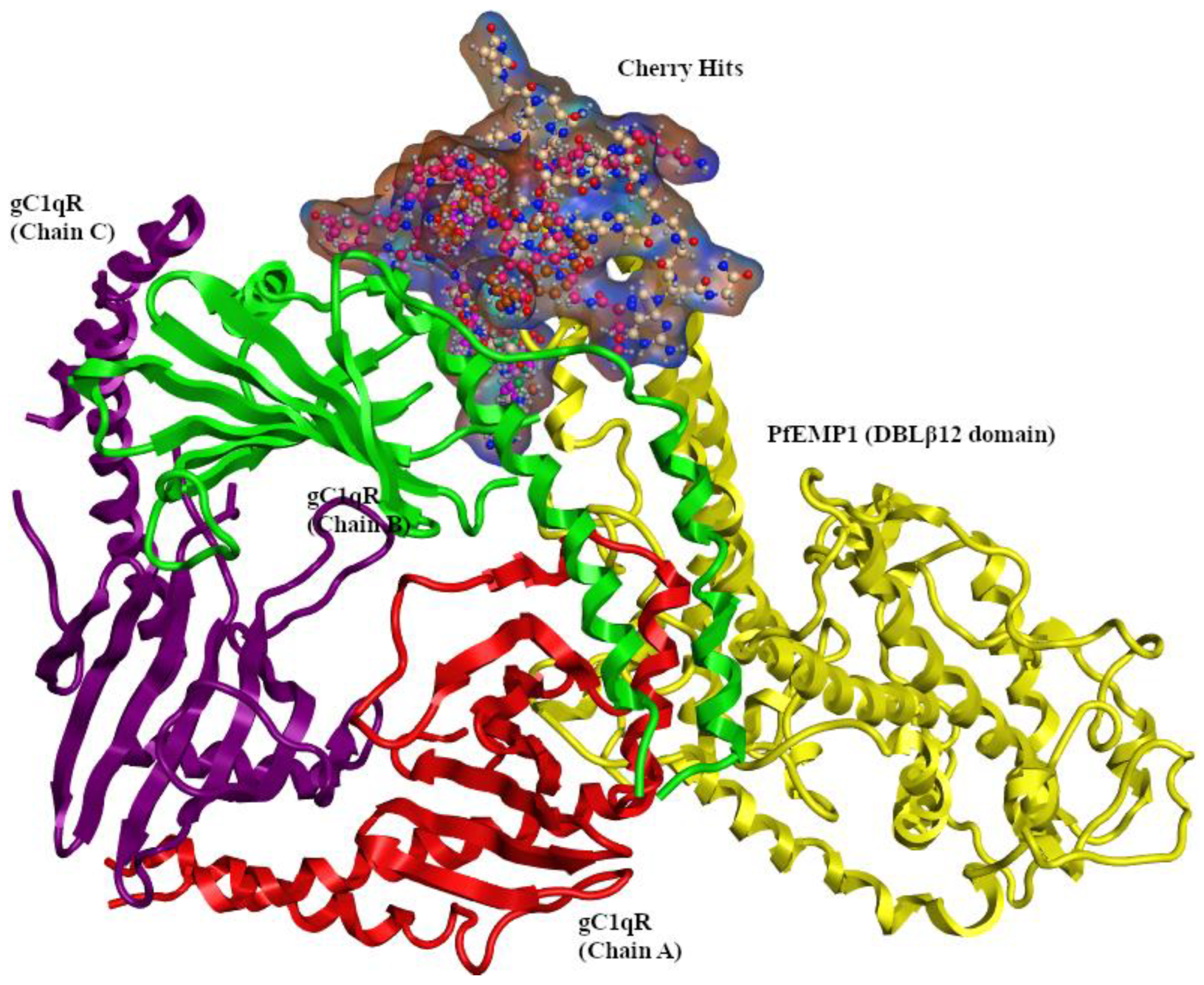 Pharmaceuticals 15 00691 g005