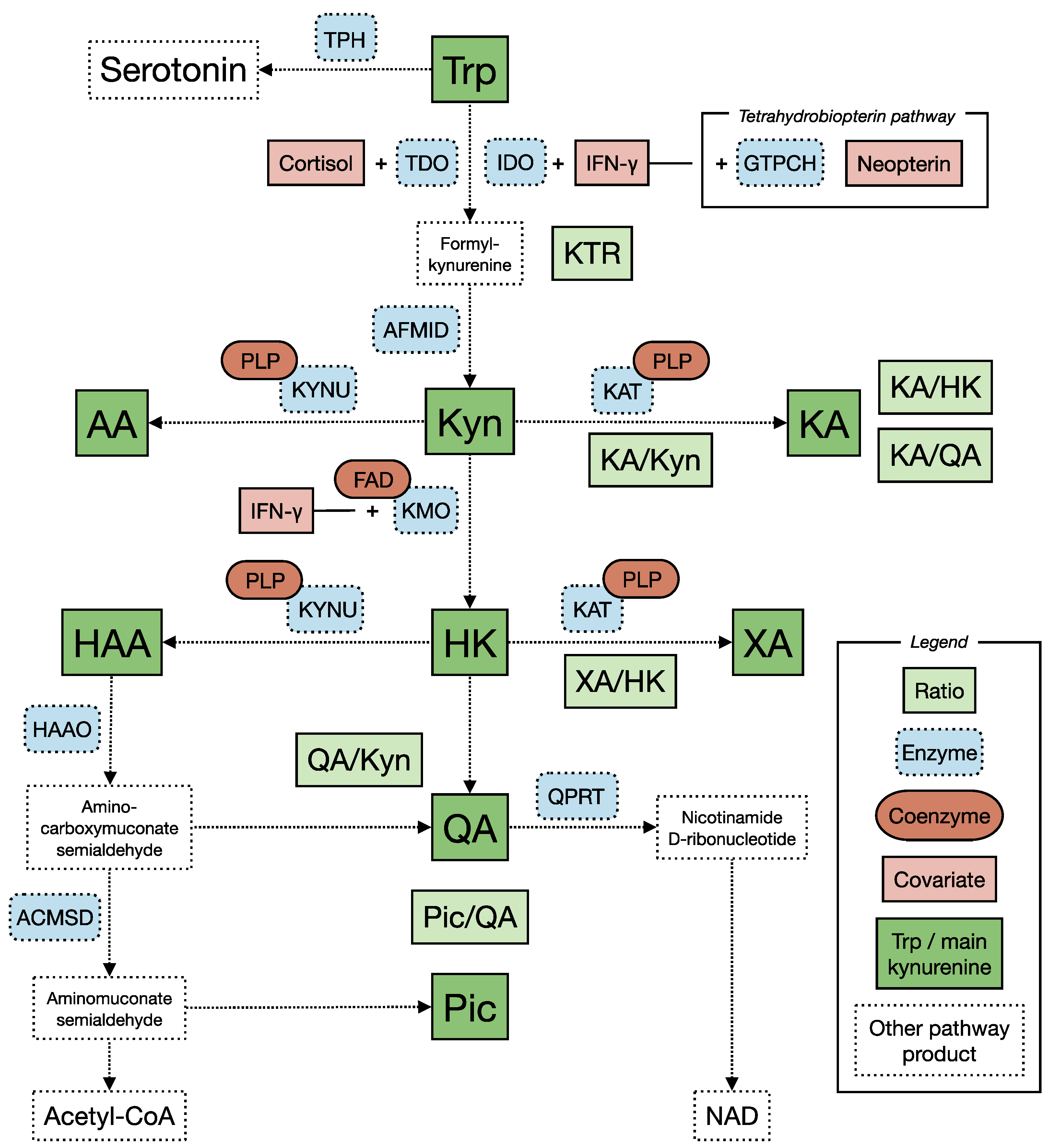 Pharmaceuticals 15 01439 g001