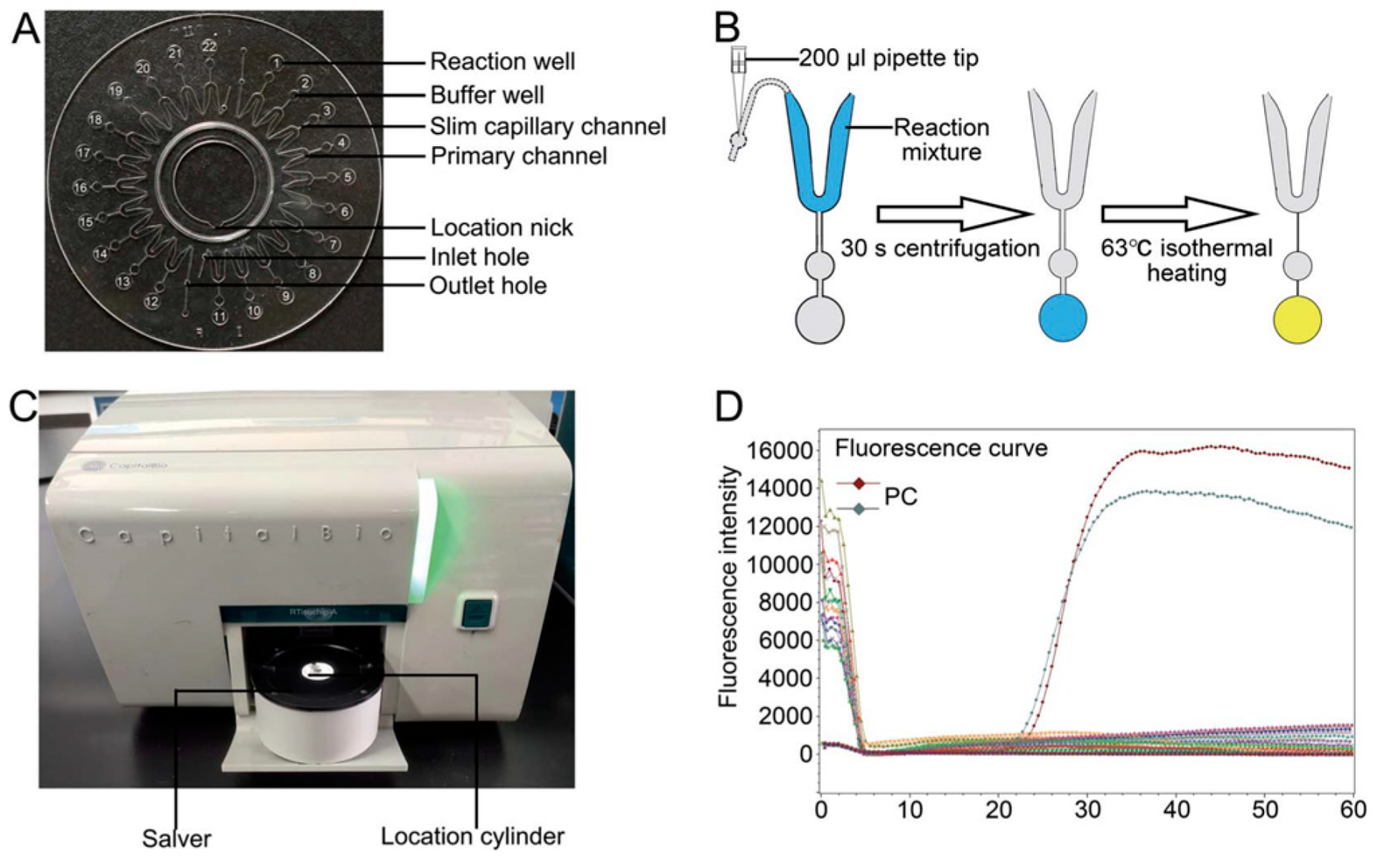 Pharmaceuticals 15 01531 g004