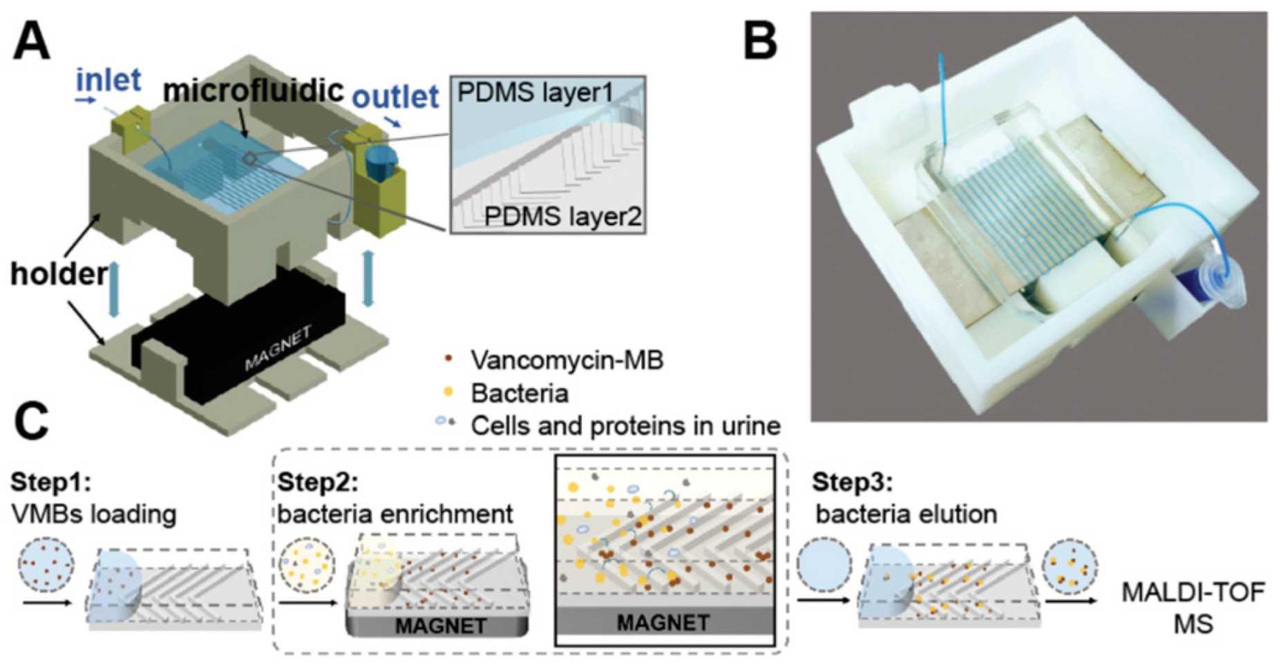 Pharmaceuticals 15 01531 g006