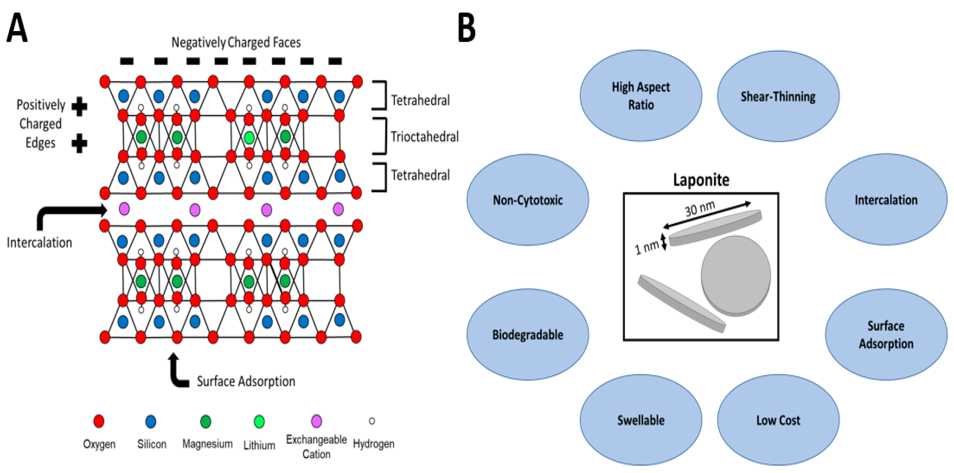 Pharmaceuticals 16 00821 g001