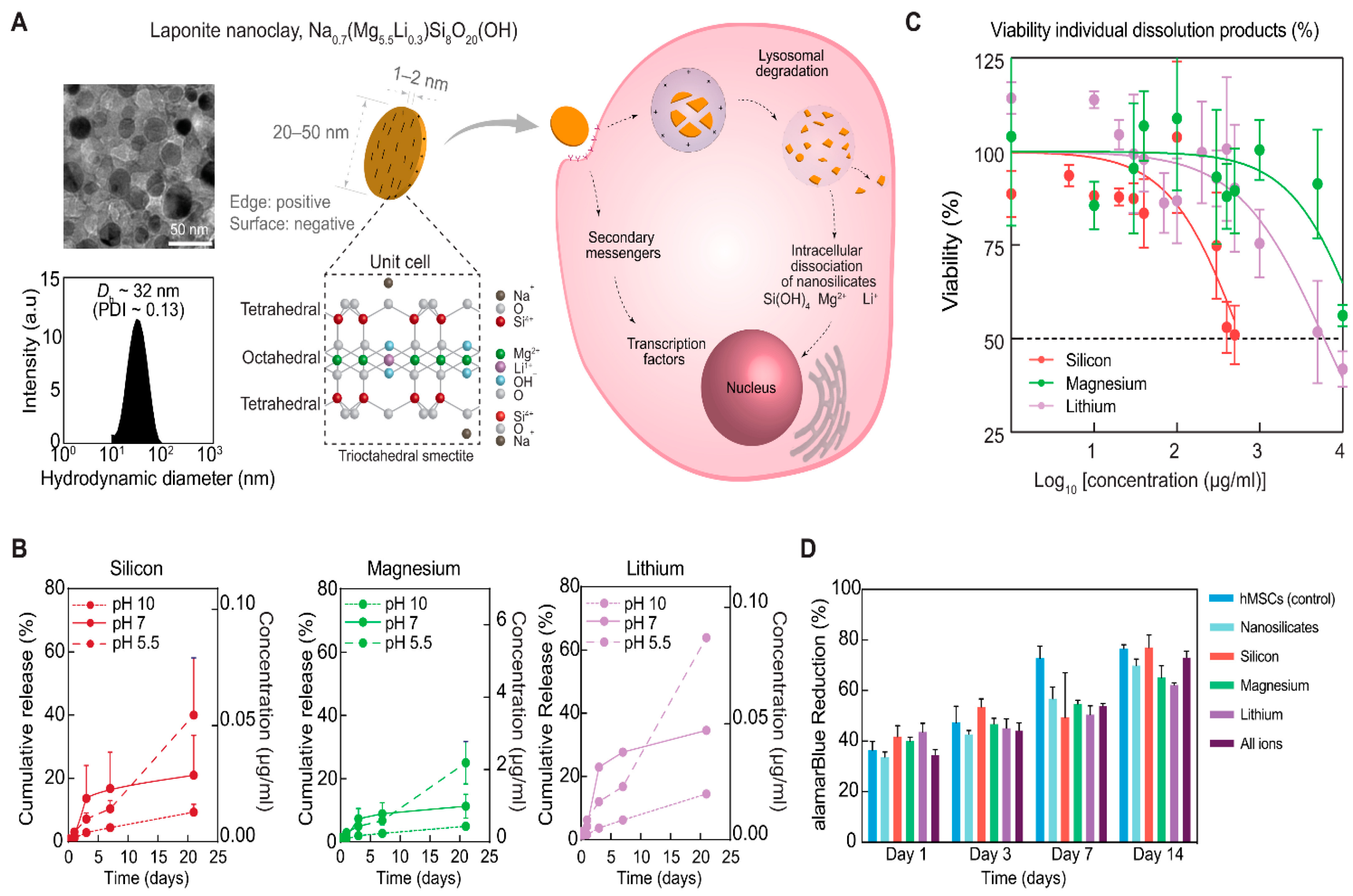 Pharmaceuticals 16 00821 g002