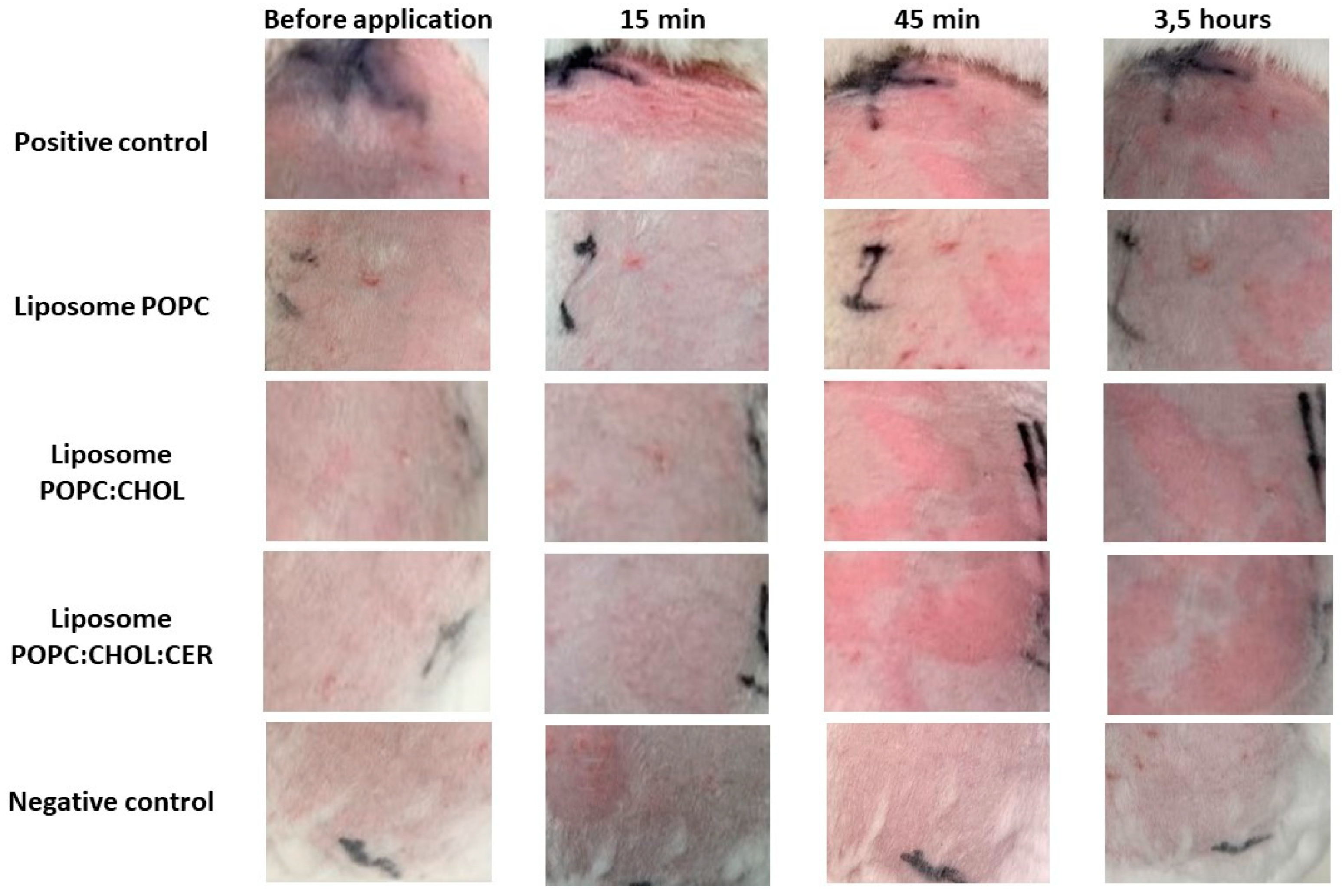 Pharmaceuticals 16 00894 g006