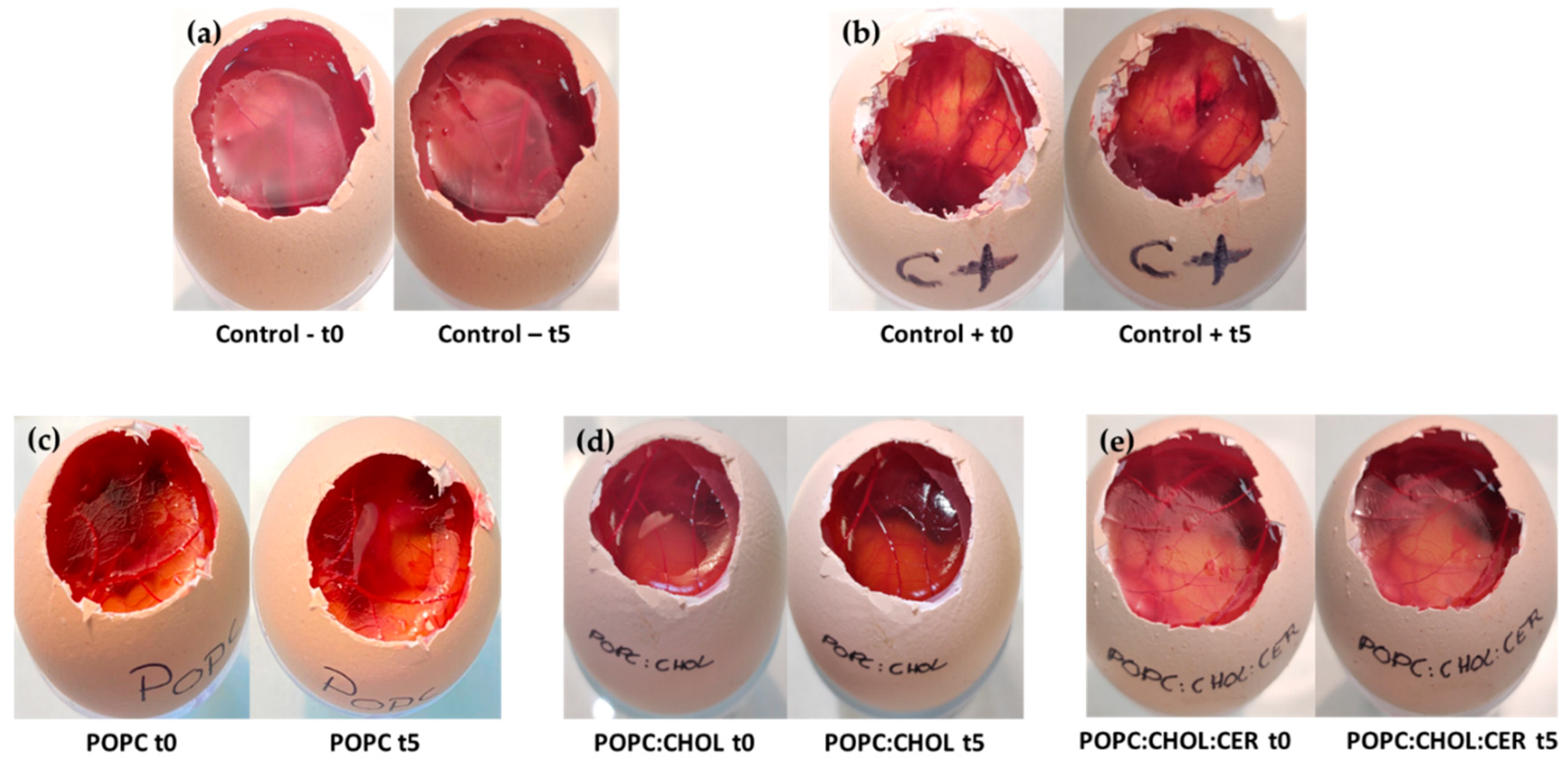 Pharmaceuticals 16 00894 g009