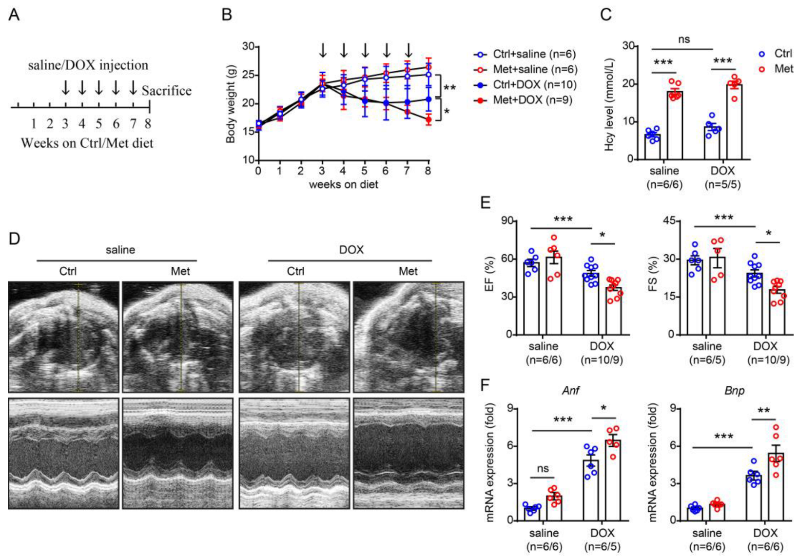 Pharmaceuticals 16 01212 g001