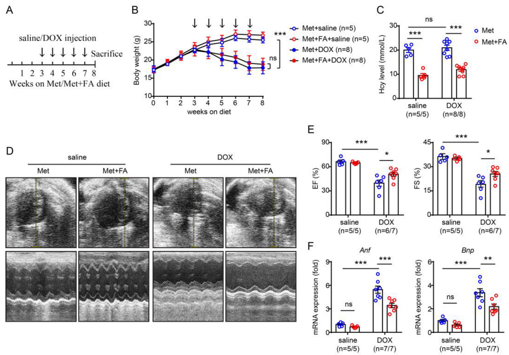 Pharmaceuticals 16 01212 g003
