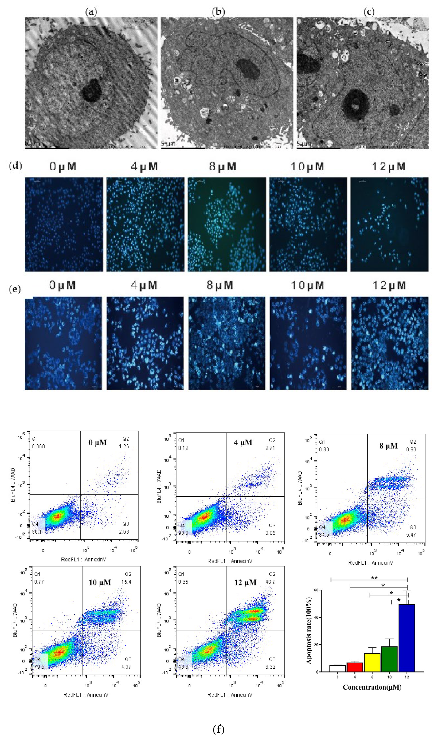 Pharmaceuticals 16 01705 g003a