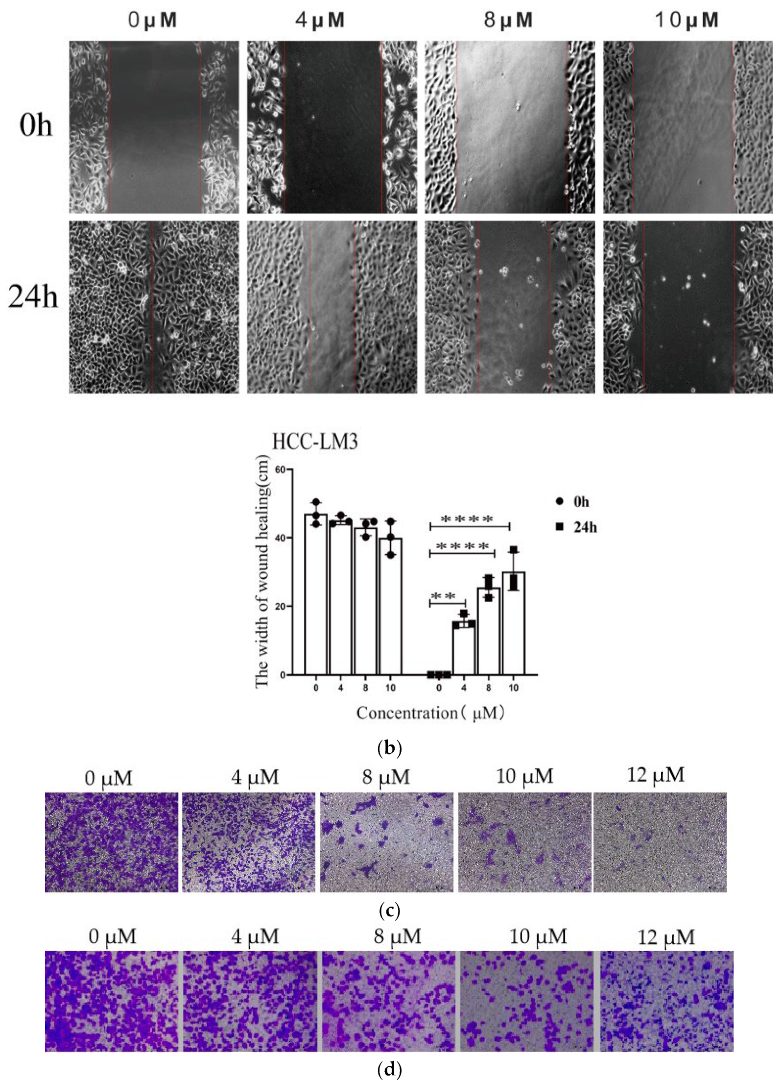 Pharmaceuticals 16 01705 g004b